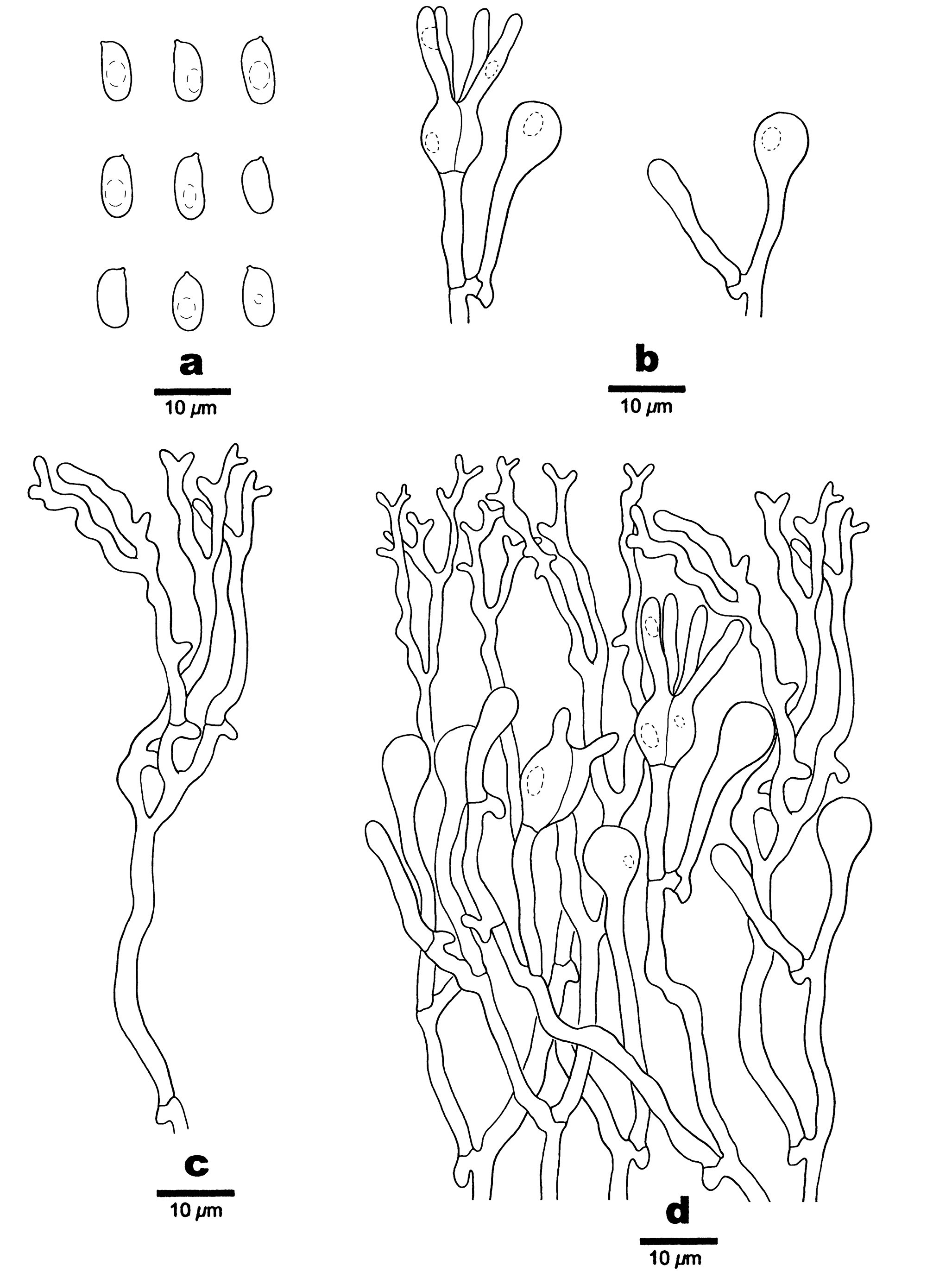 Figure 35